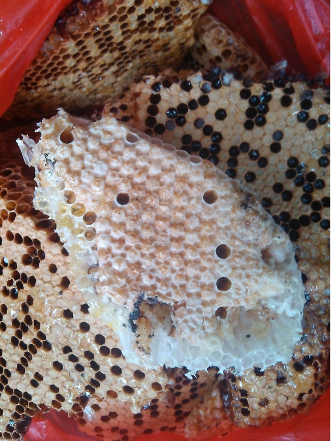 蜂蜜结晶需要具备哪些温度条件呢？