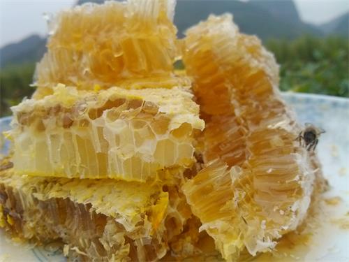 野生蜂蜜|巢蜜的保健作用