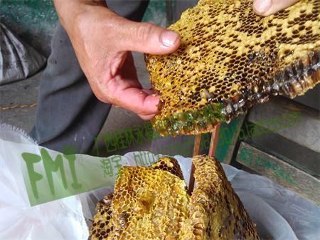 蜂巢泡酒方法与作用功效|蜂巢泡酒能喝么