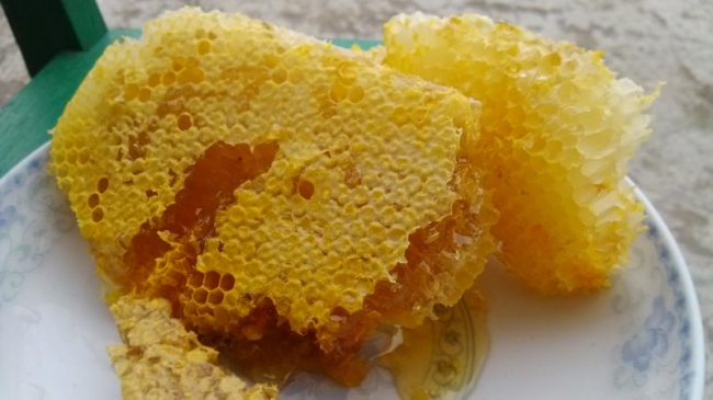 结晶蜂蜜未必全是真的|结晶蜂蜜的真假辨别