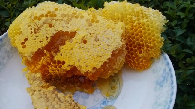 什么样的蜂蜜质量好