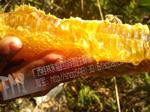 蜂巢蜜和普通蜂蜜的区别