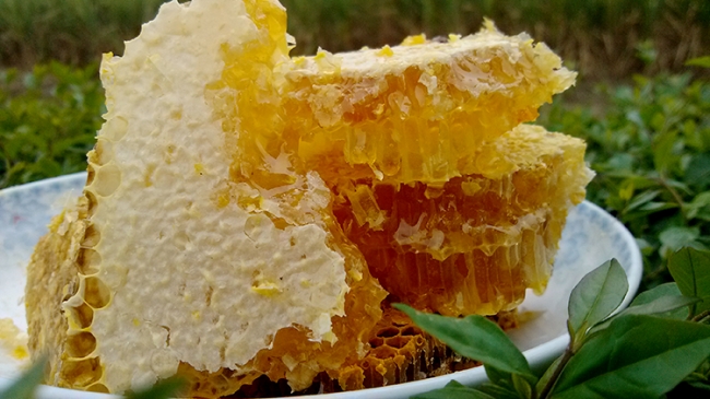 长沙野生蜂蜜|岩蜂蜜