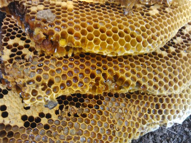 宣明野生蜂蜜推出花粉蜂巢订制服务