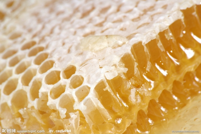 怎样辨别蜂蜜的真假