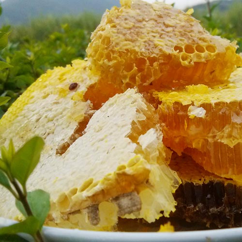 桂林野生蜂蜜的特点与区别