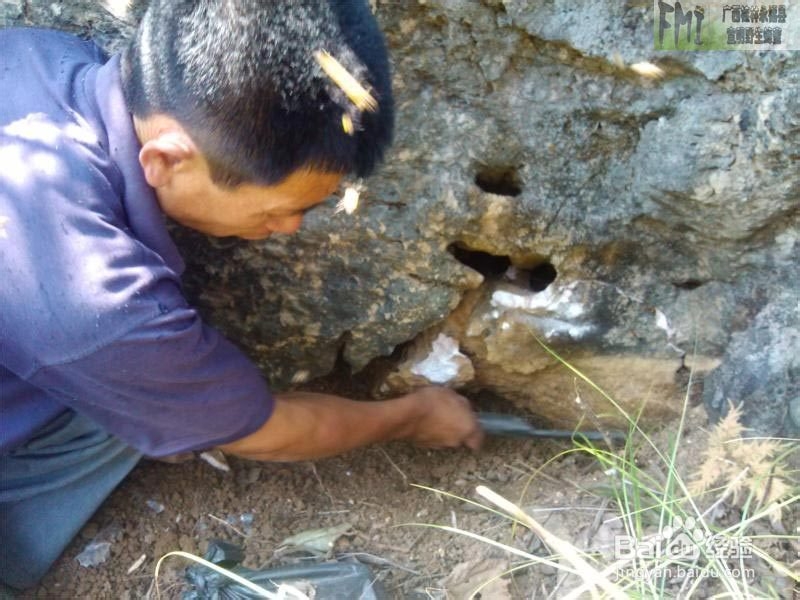 宣明野生蜂蜜是真正的野生蜂蜜吗