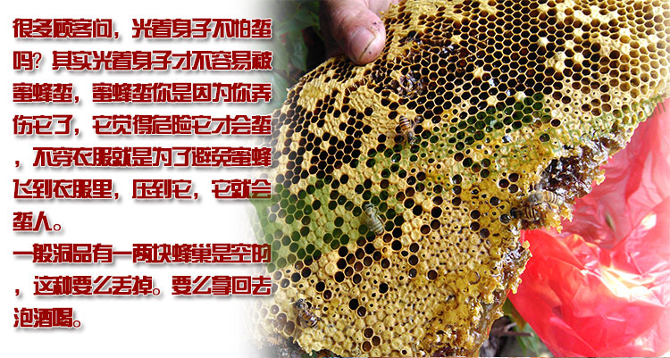 2014年纯天然野生蜂蜜取蜜图文实录