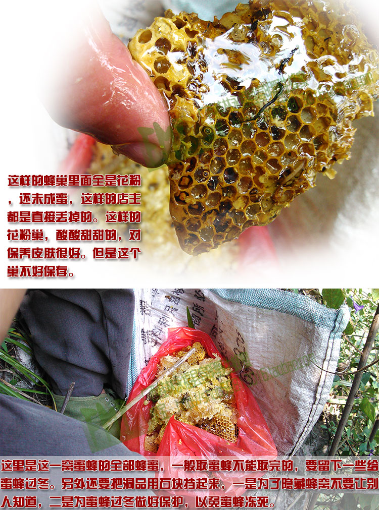 2014年纯天然野生蜂蜜取蜜图文实录