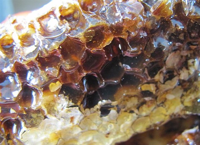蜂蜜治疗鼻炎|蜂蜜可以治疗鼻炎吗