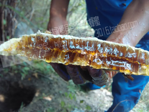 蜂蜜治疗便秘偏方