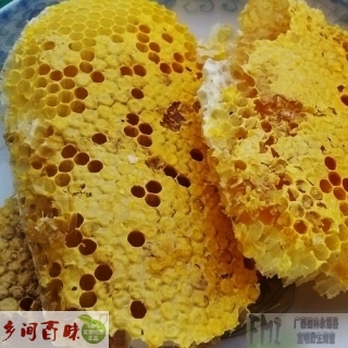 【宣明】桂林野生蜂蜜