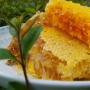福建厦门|福州泉州天然野生蜂蜜|岩蜂蜜 养生美容首选品