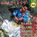 湖北武汉|襄樊天然野生蜂蜜岩蜂蜜 极品土蜂蜜保健美容首选品